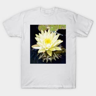 White Water Lily and Dragonfly T-Shirt